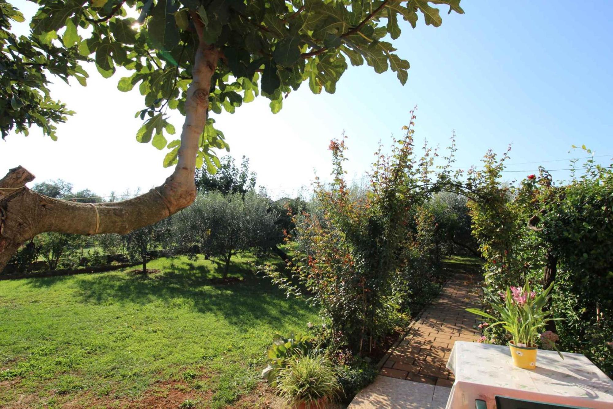 Apartments In Novigrad - Istrien 46738 Karpinjan Luaran gambar